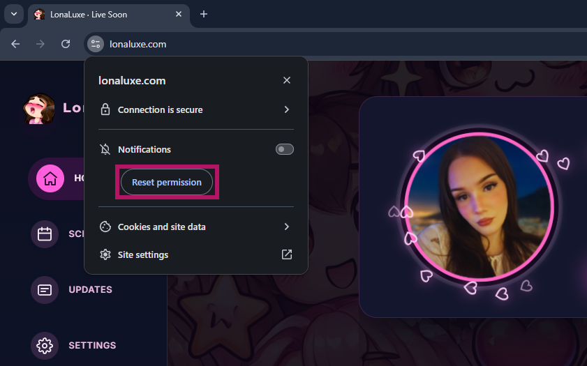 Chrome site settings panel showing reset permission